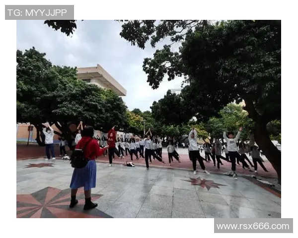 乒乓球魅力无限:深入了解上海乒乓球队的训练与比赛节奏 乒乓球魅力无限:深入了解上海乒乓球队的训练与比赛节奏