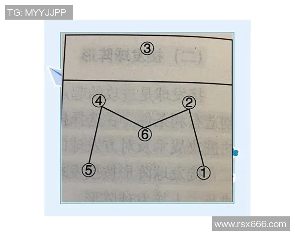 杭州排球队技术解析：从基础到战术的全面剖析与提升策略
