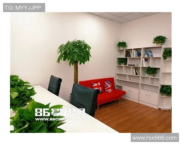 网球装备选购指南：如何选择适合你的最佳球鞋推荐