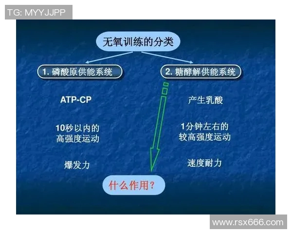 北京羽毛球队耐力表现的数据分析与训练策略探讨 北京羽毛球队耐力表现的数据分析与训练策略探讨