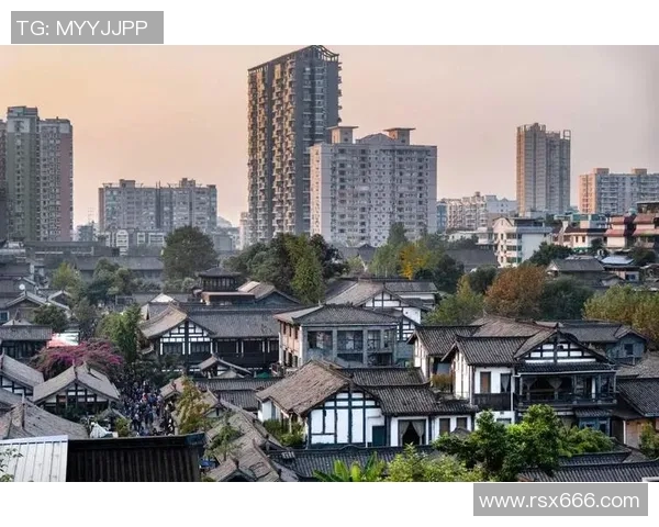 成都乒乓球队的阵地战解析与未来发展趋势探讨