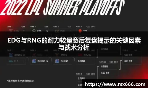 3377体育官网入口网页版